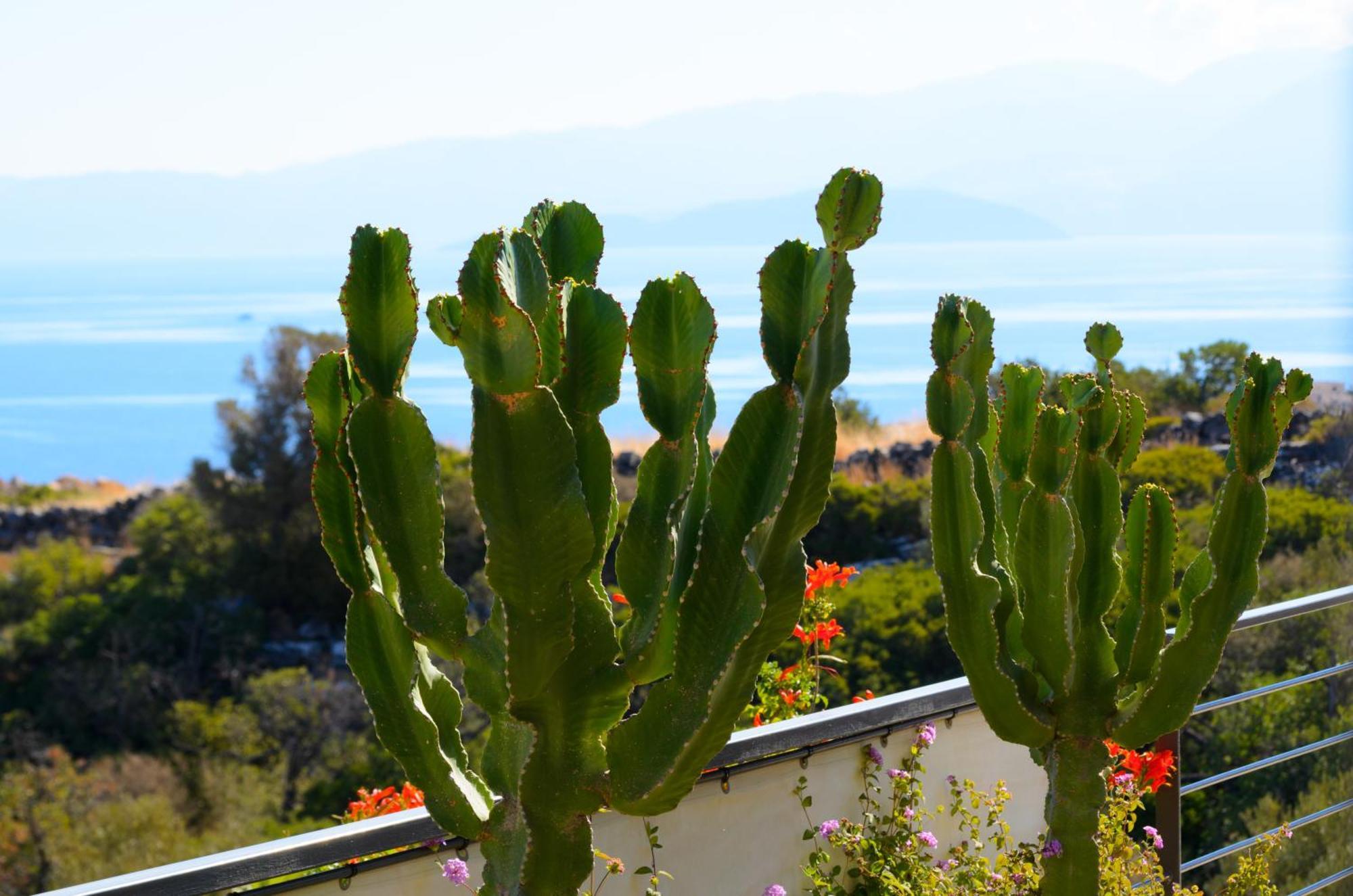 Anemos Elounda Villas 외부 사진